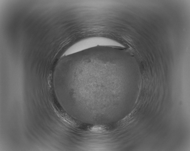 X0000056330171200509161719