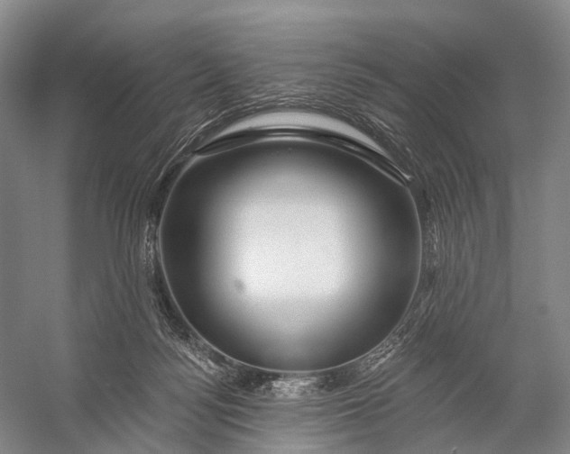 X0000056330172200509161719