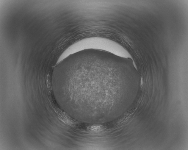 X0000056330173200509161719