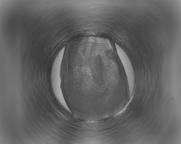 X0000056330174200509161719