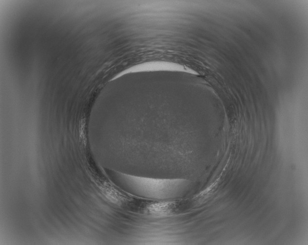 X0000056330178200509161719