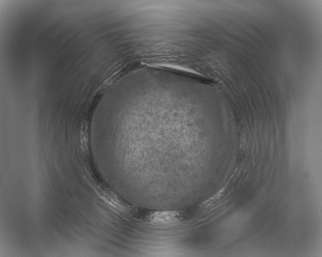 X0000056330179200509161719