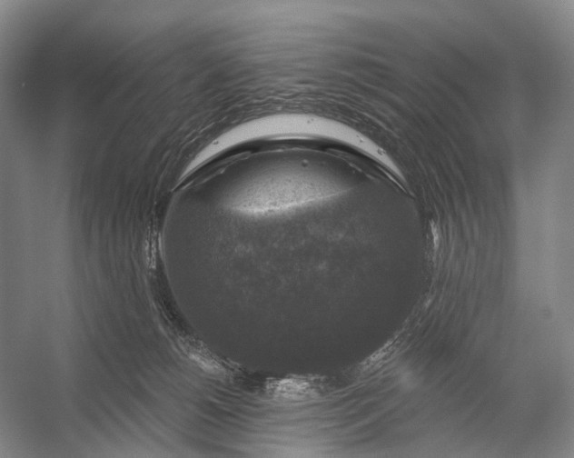 X0000056330180200509161719