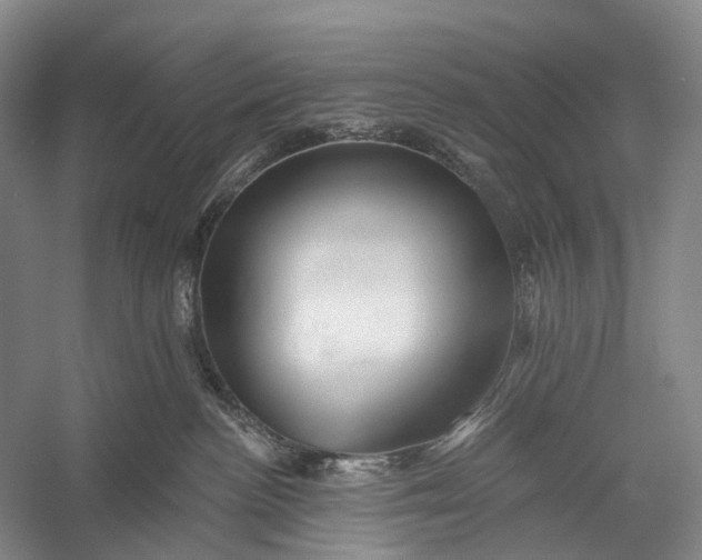 X0000056330188200509161719