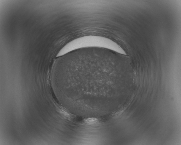 X0000056330189200509161719