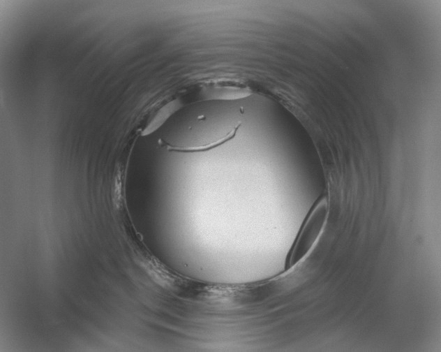 X0000056330190200509161719