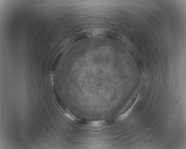 X0000056330191200509161719