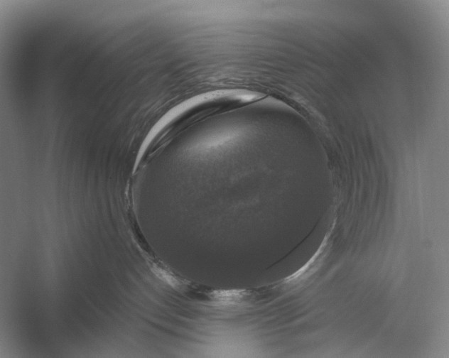 X0000056330192200509161719