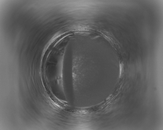 X0000056330195200509161718