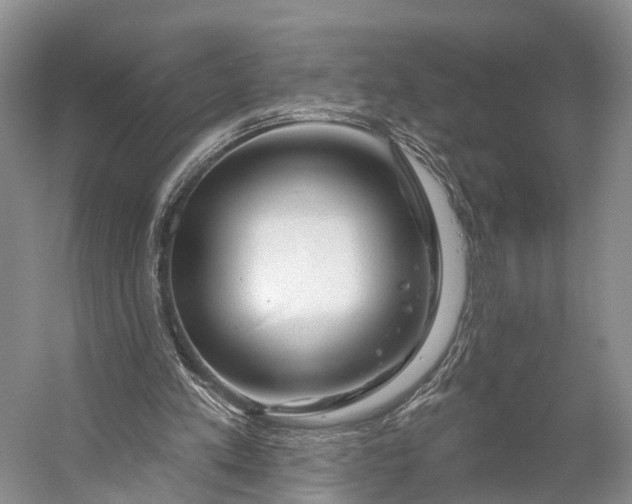 X0000056330197200509161718