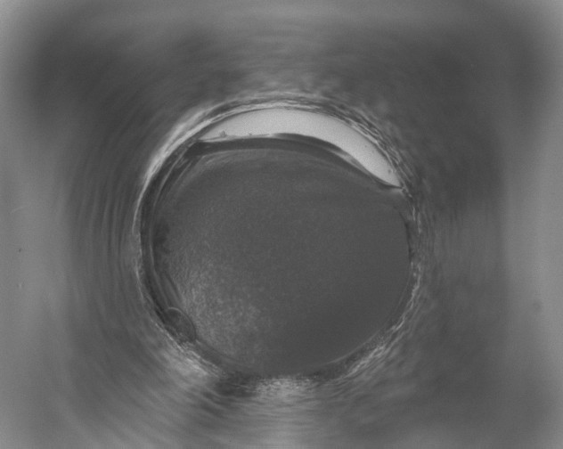 X0000056330198200509161718