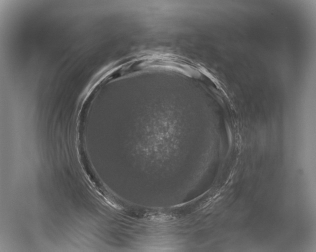 X0000056330199200509161718