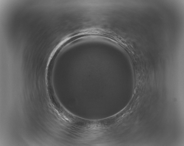 X0000056330200200509161718