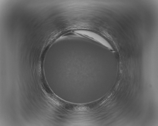 X0000056330202200509161718