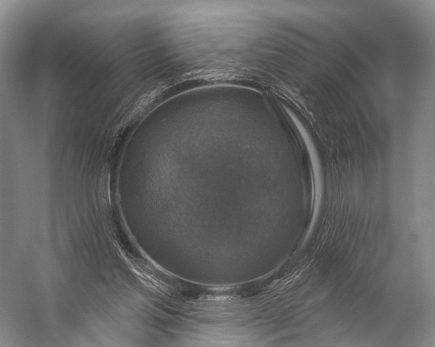 X0000056330205200509161718