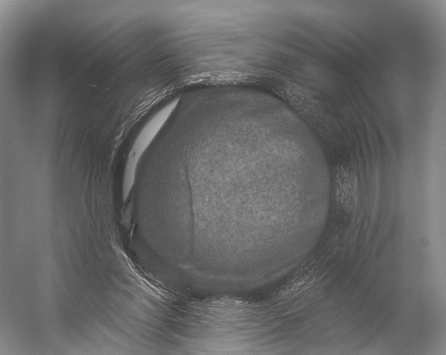 X0000056330206200509161718