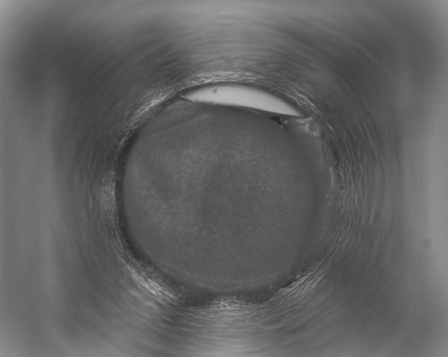 X0000056330207200509161718