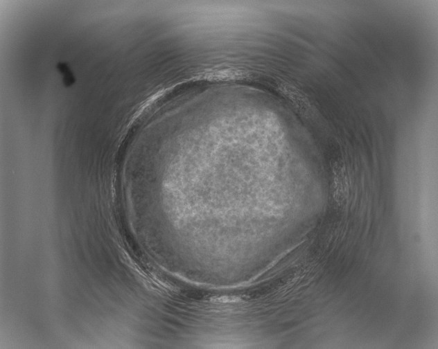 X0000056330208200509161718