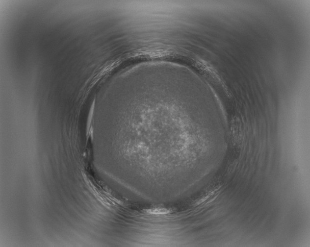 X0000056330212200509161718