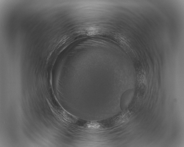 X0000056330214200509161718