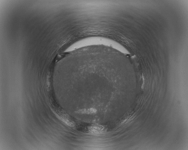 X0000056330215200509161718