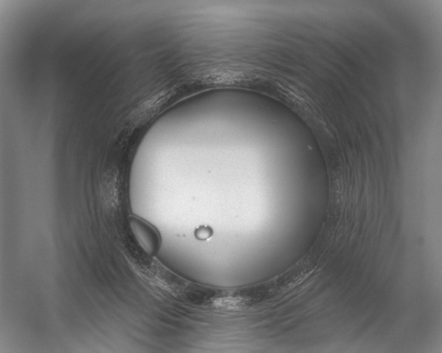 X0000056330216200509161718