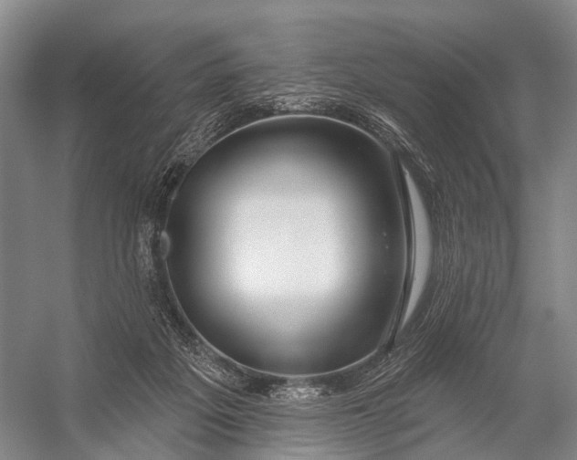 X0000056330217200509161718