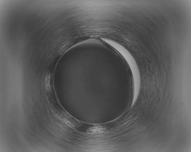 X0000056330219200509161718