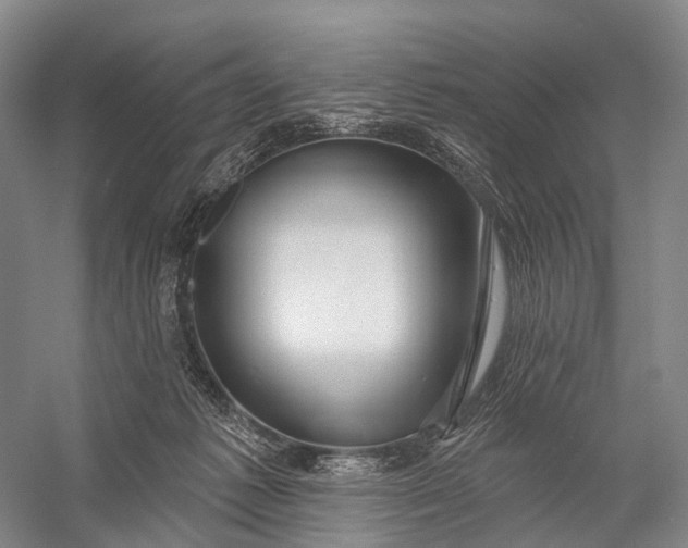 X0000056330221200509161718