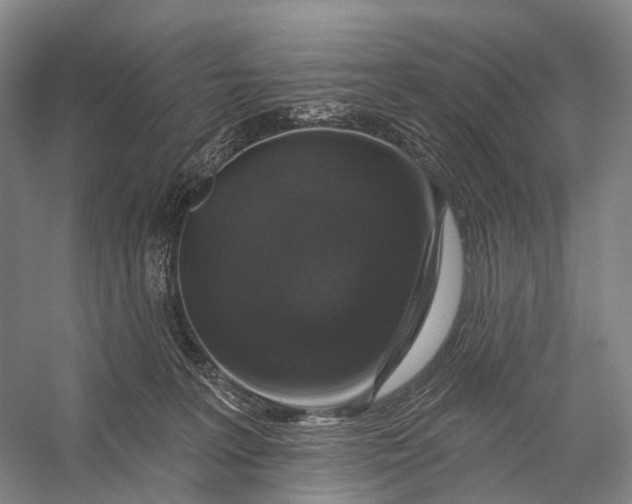 X0000056330227200509161718