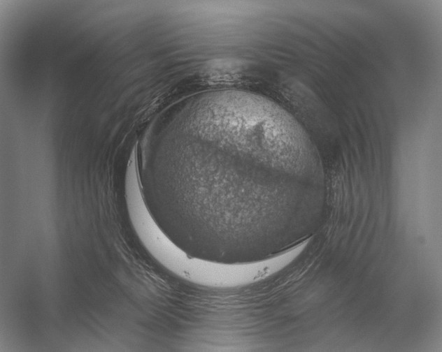 X0000056330228200509161718