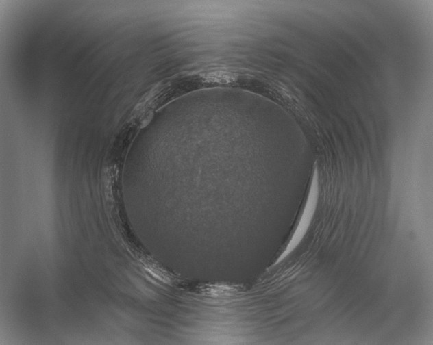 X0000056330229200509161718