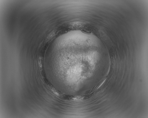 X0000056330232200509161718