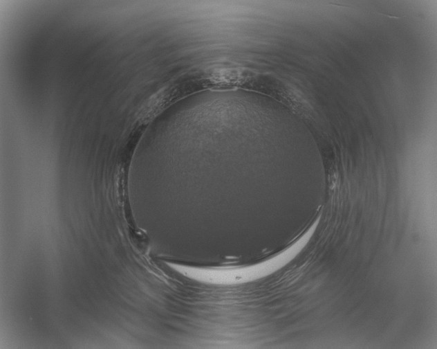 X0000056330233200509161718