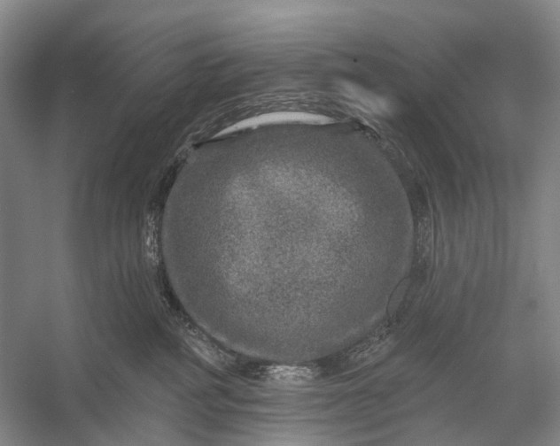 X0000056330234200509161718