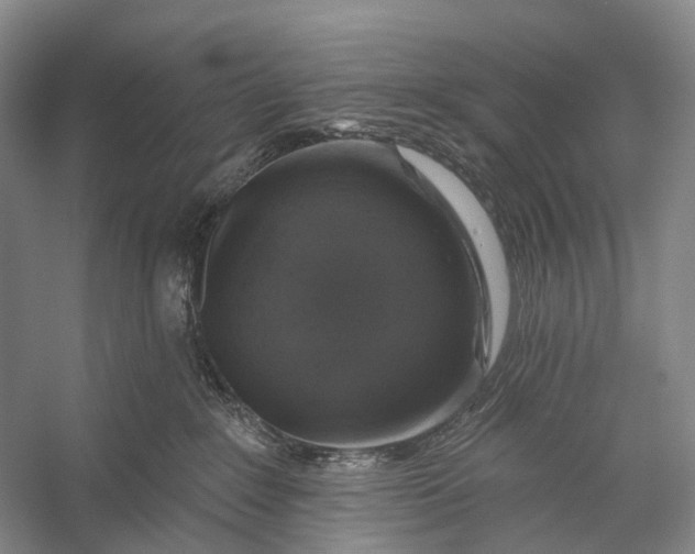 X0000056330235200509161718