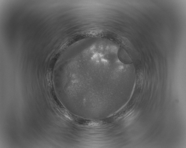 X0000056330236200509161717