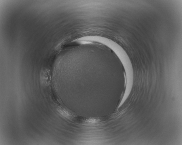 X0000056330237200509161717