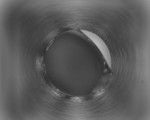 X0000056330239200509161717