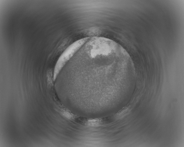 X0000056330240200509161717