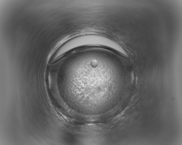 X0000056330244200509161717