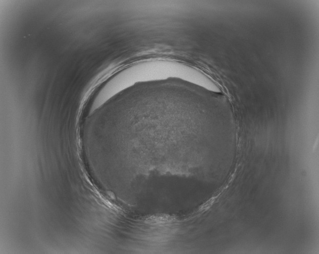 X0000056330245200509161717