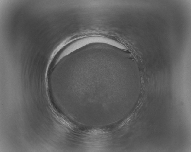 X0000056330246200509161717