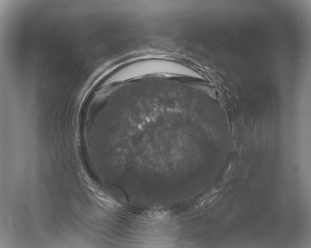 X0000056330247200509161717