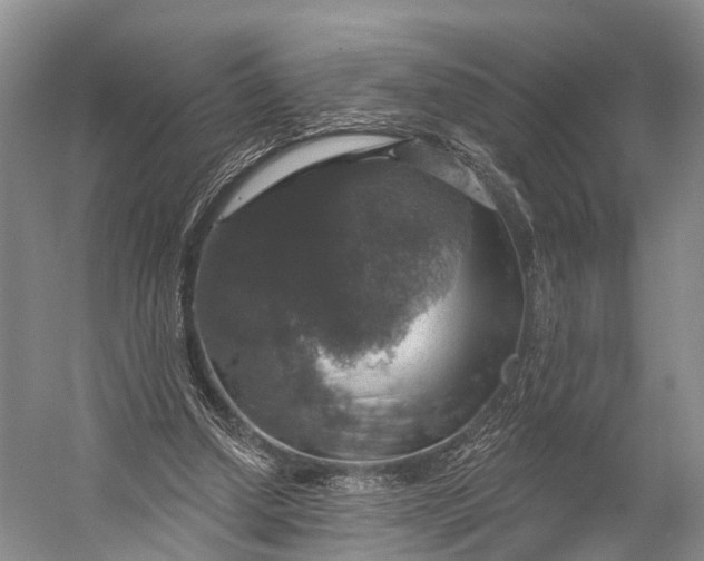 X0000056330250200509161717