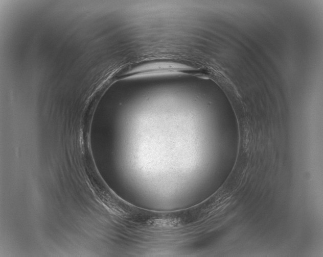 X0000056330251200509161717