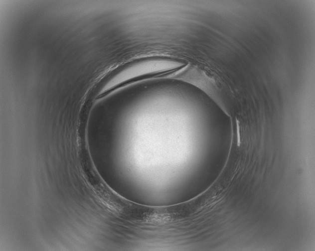 X0000056330252200509161717