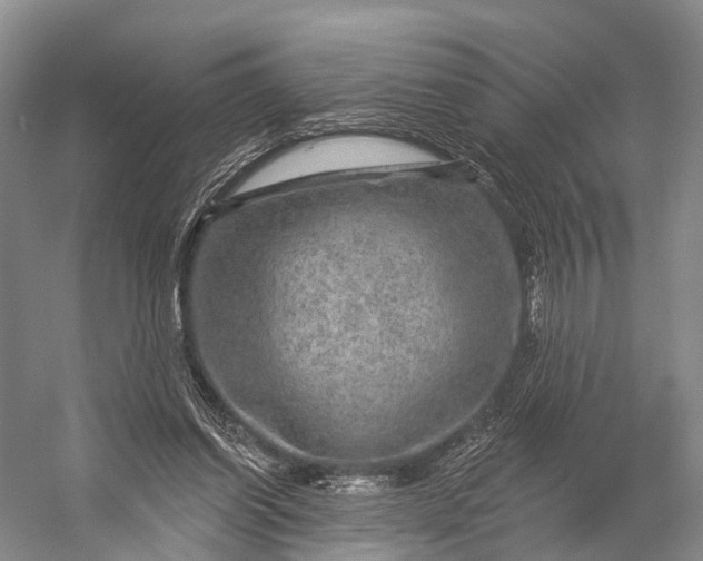 X0000056330254200509161717