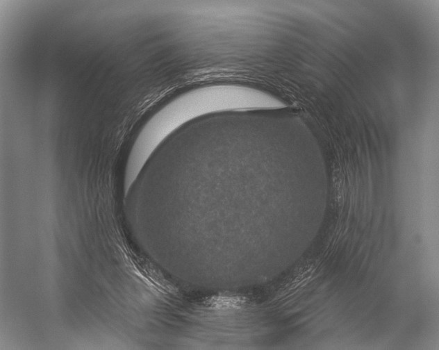 X0000056330255200509161717