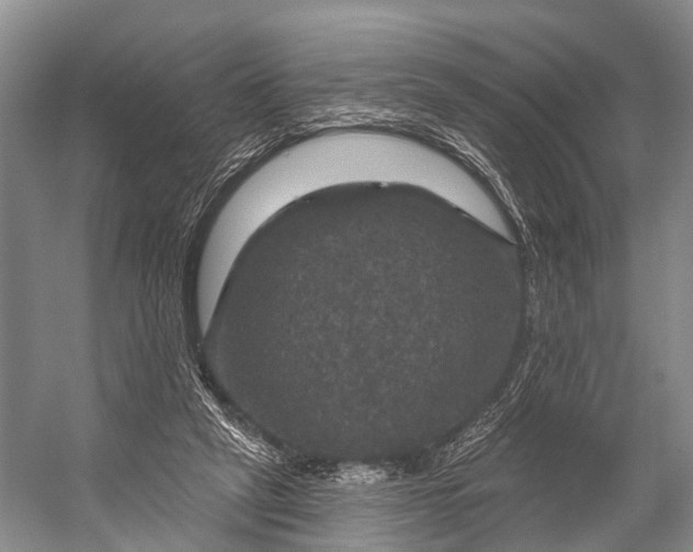 X0000056330257200509161717